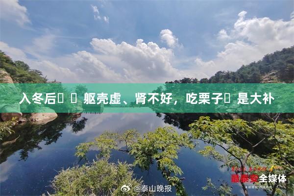 入冬后❄️躯壳虚、肾不好，吃栗子✅是大补